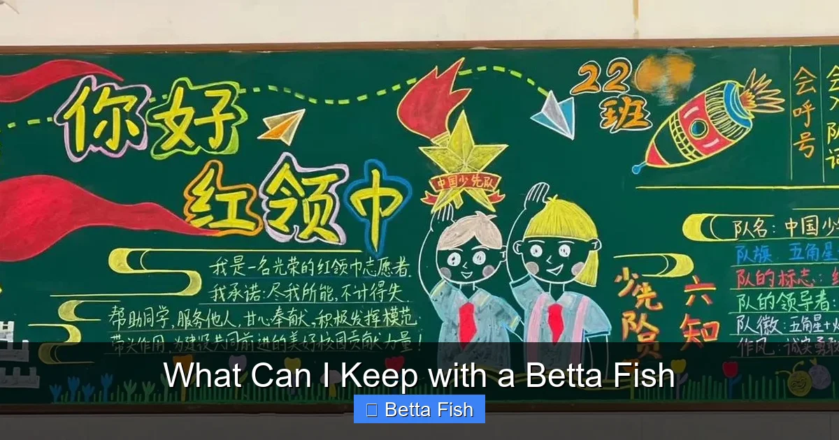 What Can I Keep with a Betta Fish