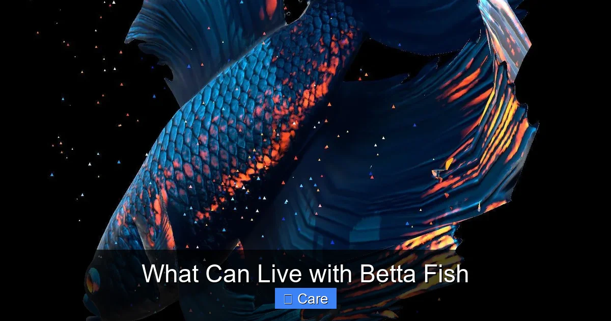 What Can Live with Betta Fish