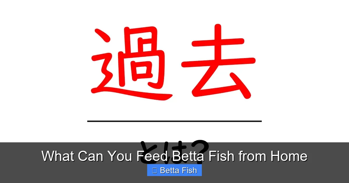 What Can You Feed Betta Fish from Home