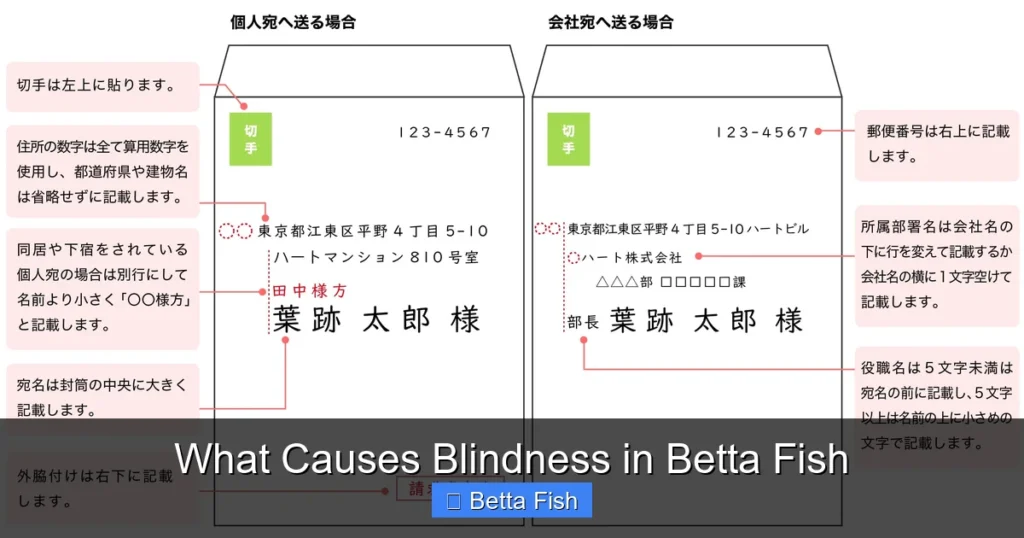 What Causes Blindness in Betta Fish