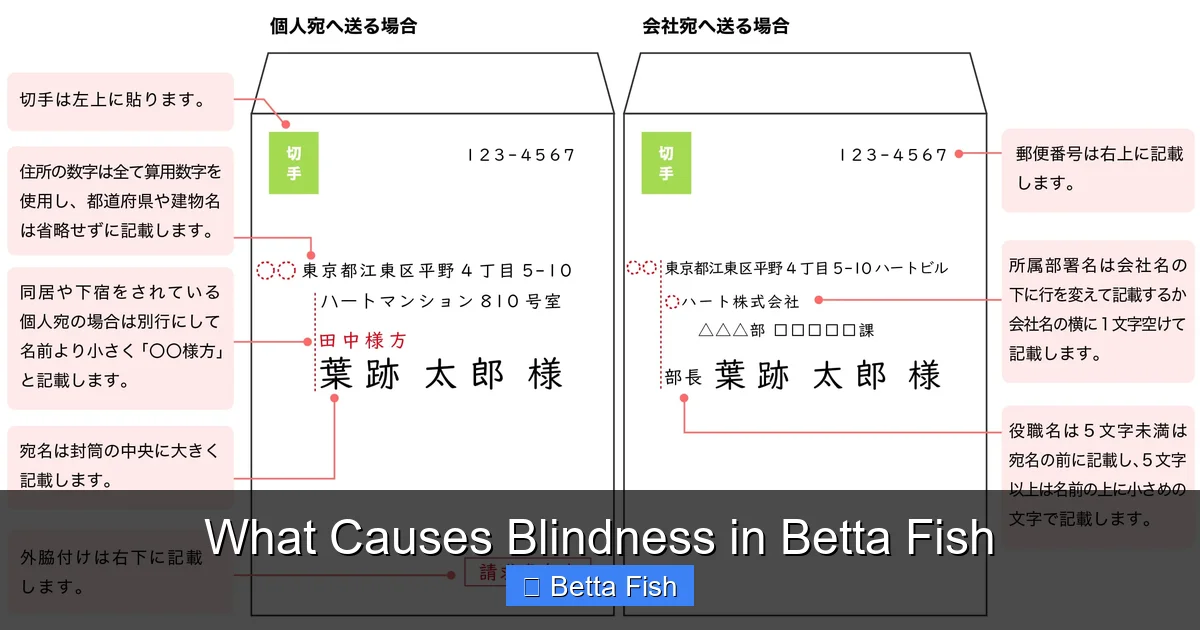 What Causes Blindness in Betta Fish