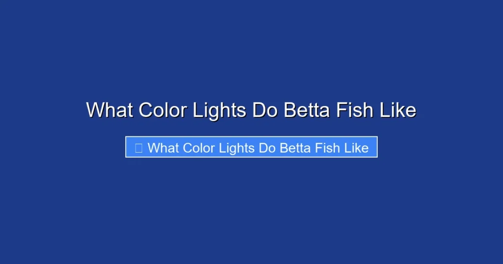 What Color Lights Do Betta Fish Like