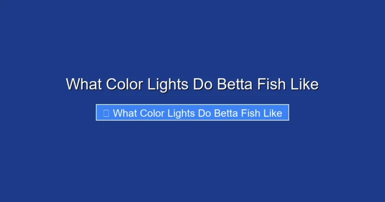 What Color Lights Do Betta Fish Like