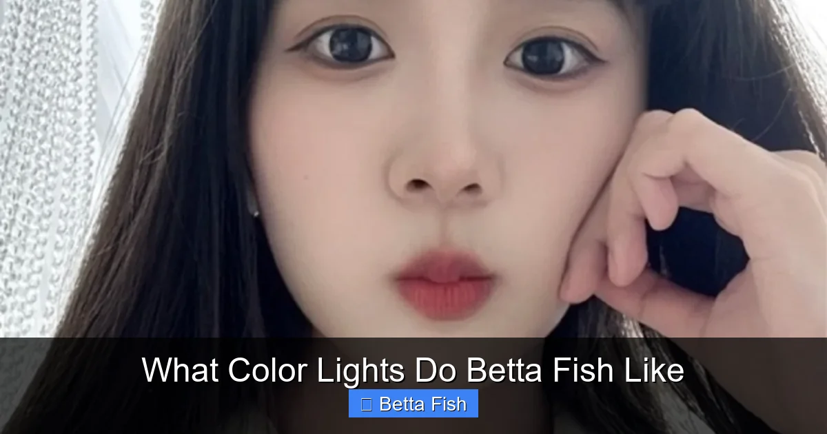 What Color Lights Do Betta Fish Like