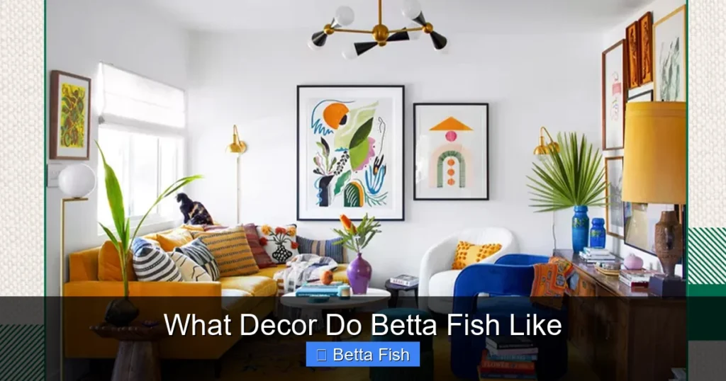 What Decor Do Betta Fish Like