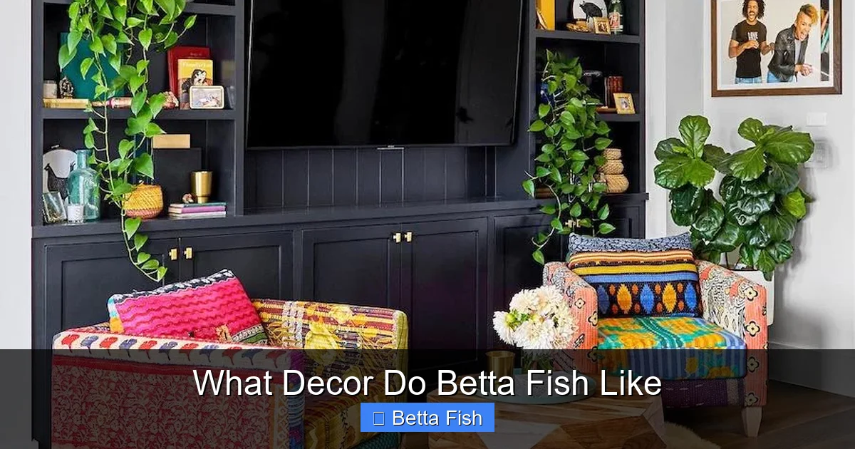 What Decor Do Betta Fish Like