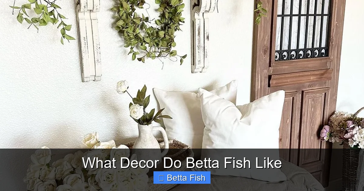 What Decor Do Betta Fish Like