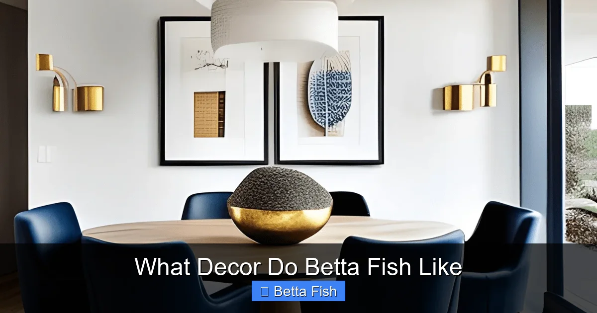 What Decor Do Betta Fish Like