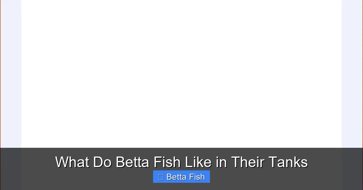 What Do Betta Fish Like in Their Tanks