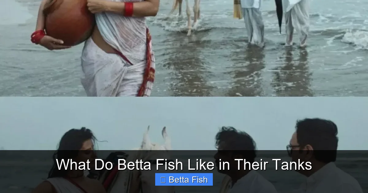 What Do Betta Fish Like in Their Tanks