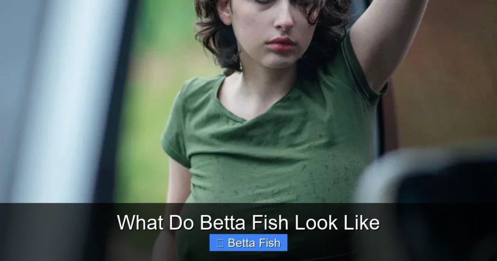 What Do Betta Fish Look Like