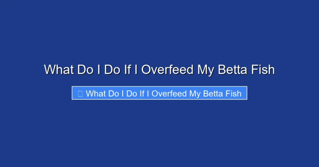 What Do I Do If I Overfeed My Betta Fish