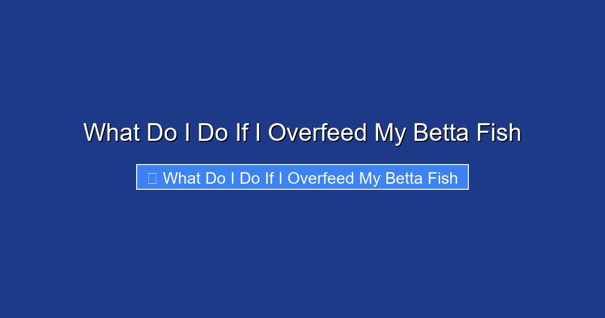 What Do I Do If I Overfeed My Betta Fish