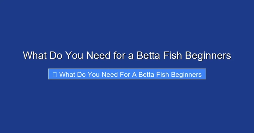 What Do You Need for a Betta Fish Beginners
