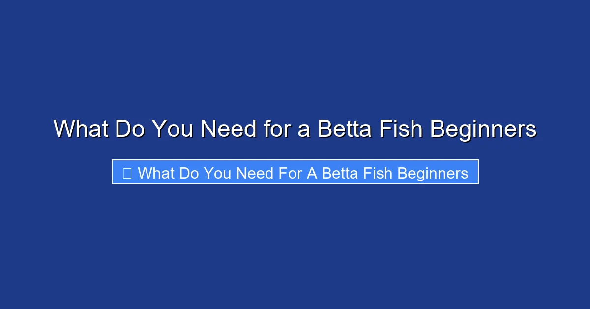 What Do You Need for a Betta Fish Beginners