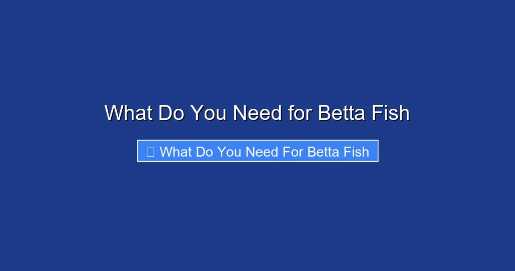 What Do You Need for Betta Fish