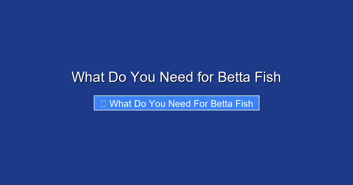 What Do You Need for Betta Fish