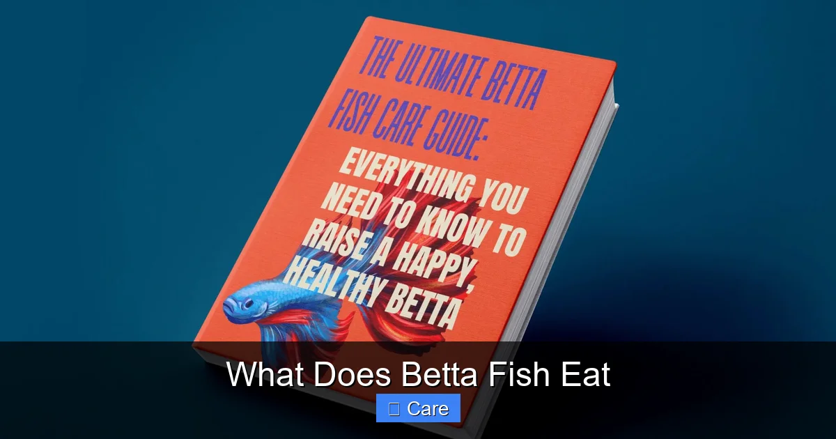 What Does Betta Fish Eat