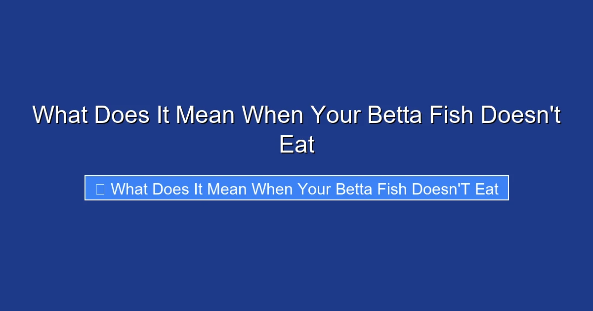 What Does It Mean When Your Betta Fish Doesn't Eat