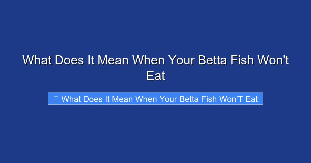 What Does It Mean When Your Betta Fish Won't Eat