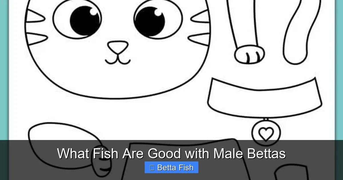 What Fish Are Good with Male Bettas