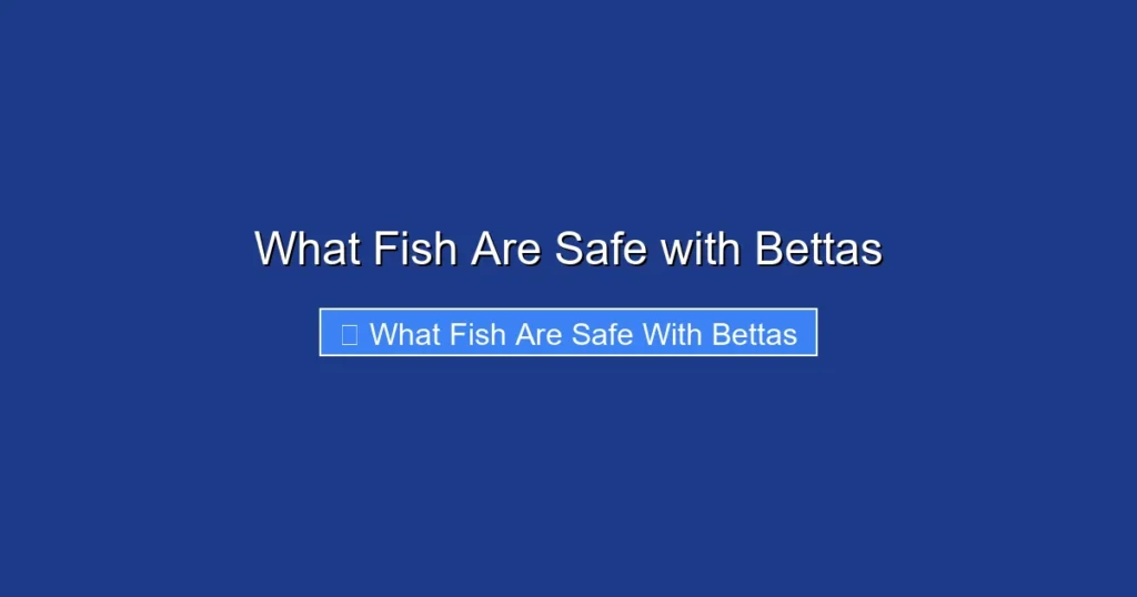 What Fish Are Safe with Bettas