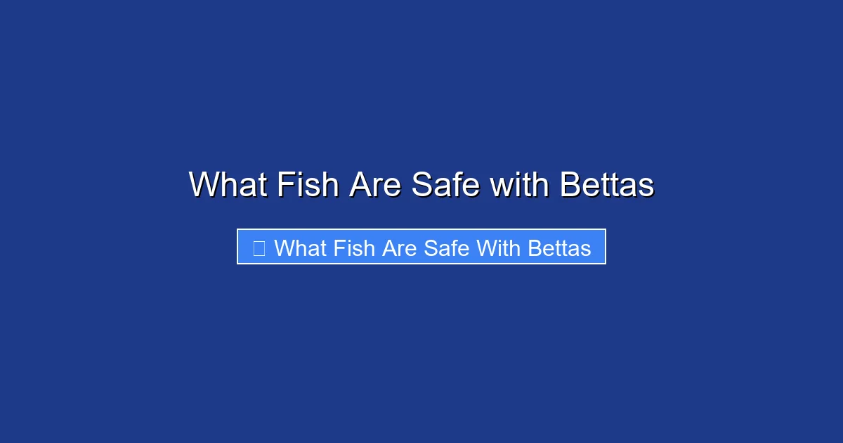 What Fish Are Safe with Bettas