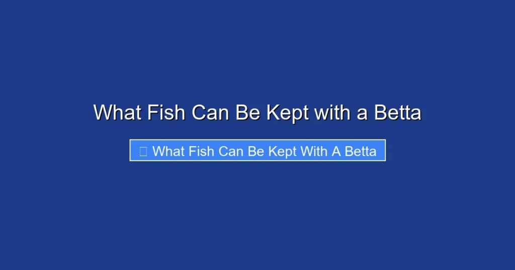 What Fish Can Be Kept with a Betta