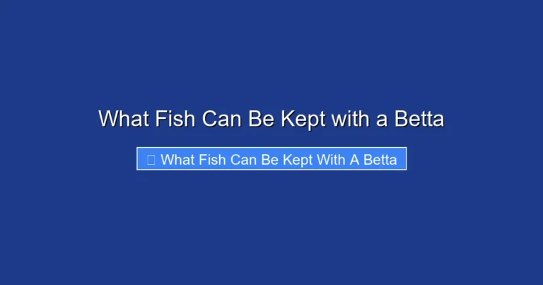 What Fish Can Be Kept with a Betta