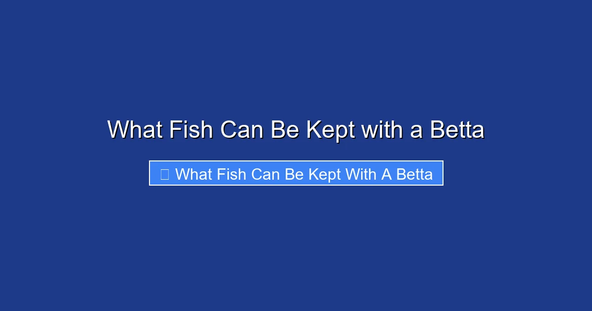 What Fish Can Be Kept with a Betta
