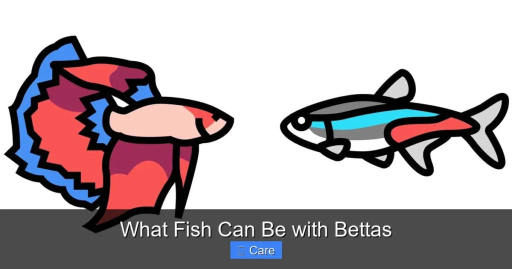 What Fish Can Be with Bettas