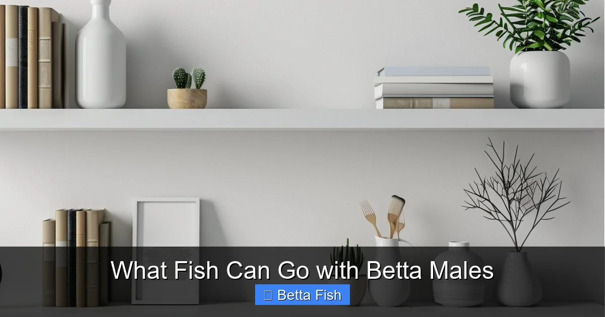 What Fish Can Go with Betta Males