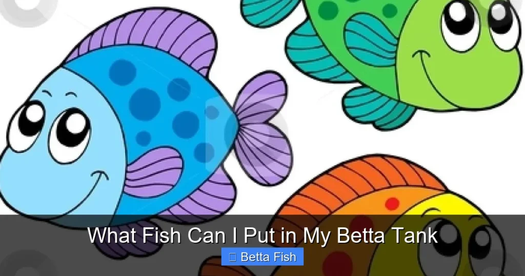 What Fish Can I Put in My Betta Tank