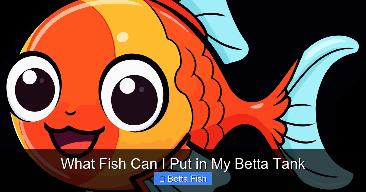 What Fish Can I Put in My Betta Tank