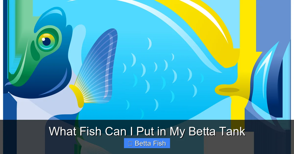 What Fish Can I Put in My Betta Tank