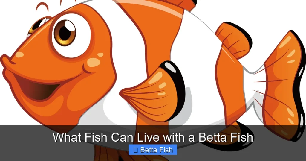 What Fish Can Live with a Betta Fish