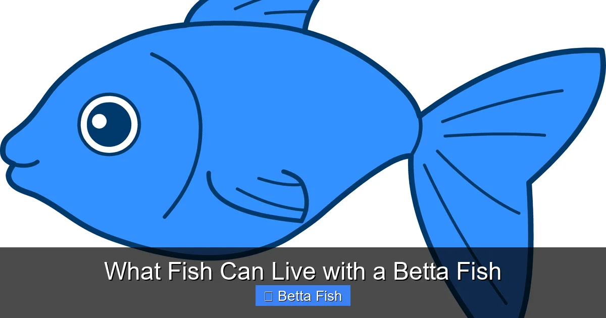 What Fish Can Live with a Betta Fish
