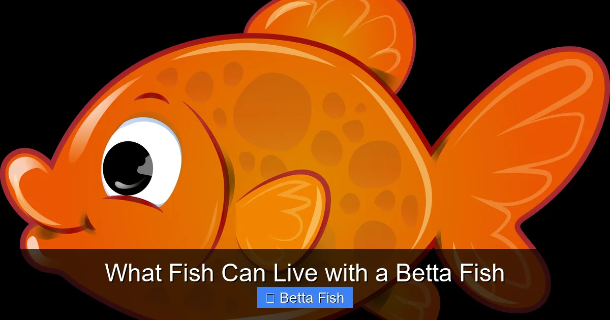 What Fish Can Live with a Betta Fish