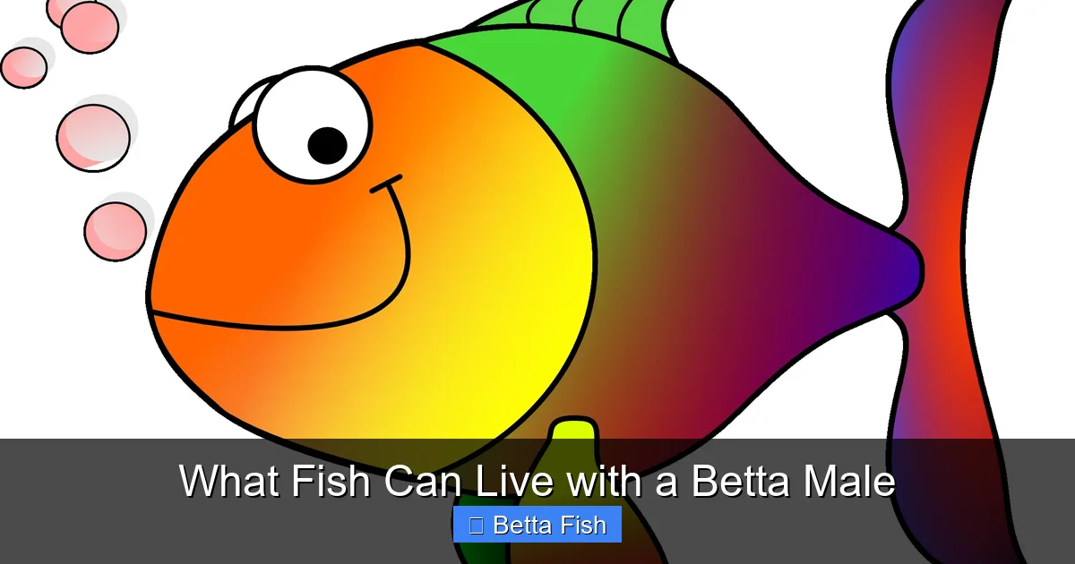 What Fish Can Live with a Betta Male