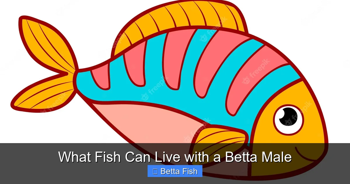 What Fish Can Live with a Betta Male