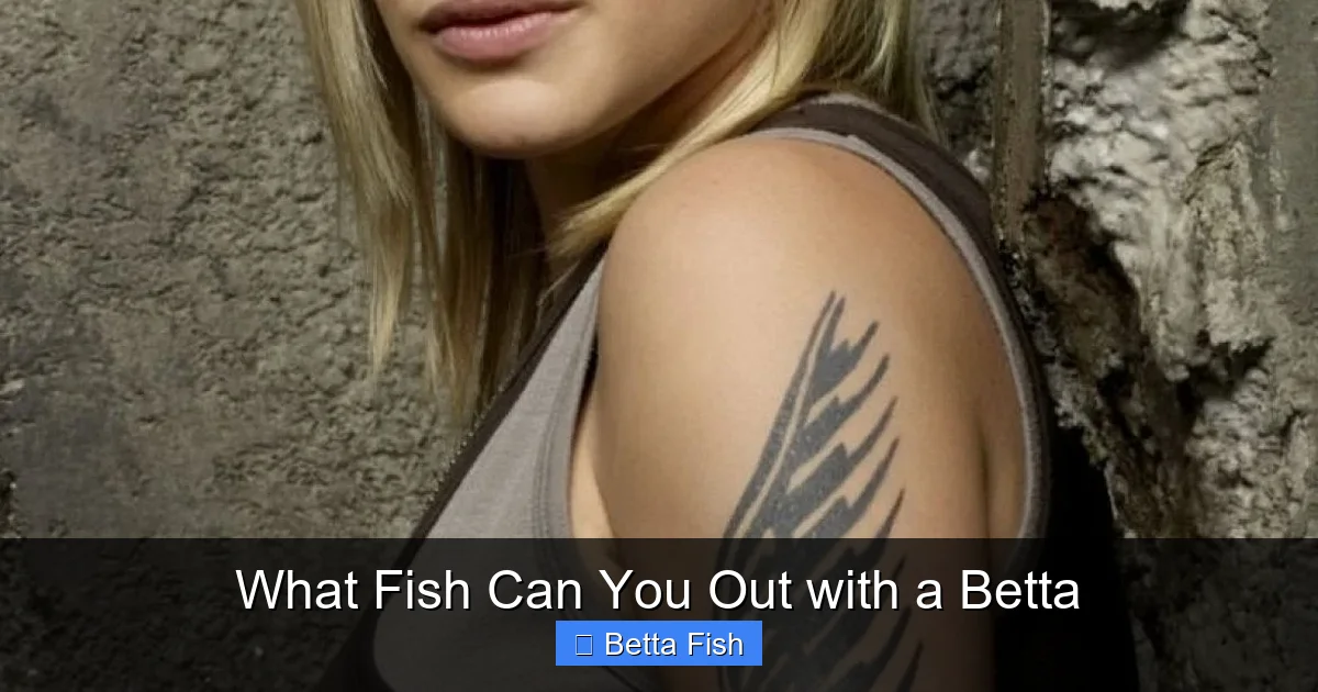 What Fish Can You Out with a Betta