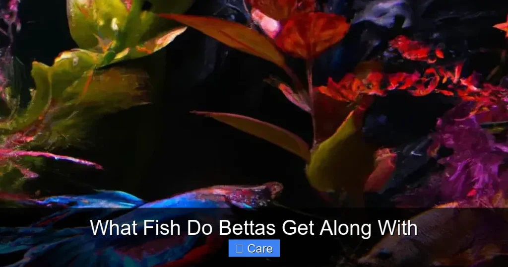 What Fish Do Bettas Get Along With