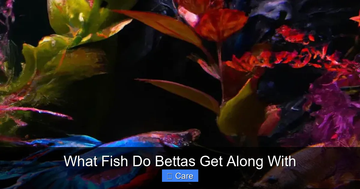 What Fish Do Bettas Get Along With