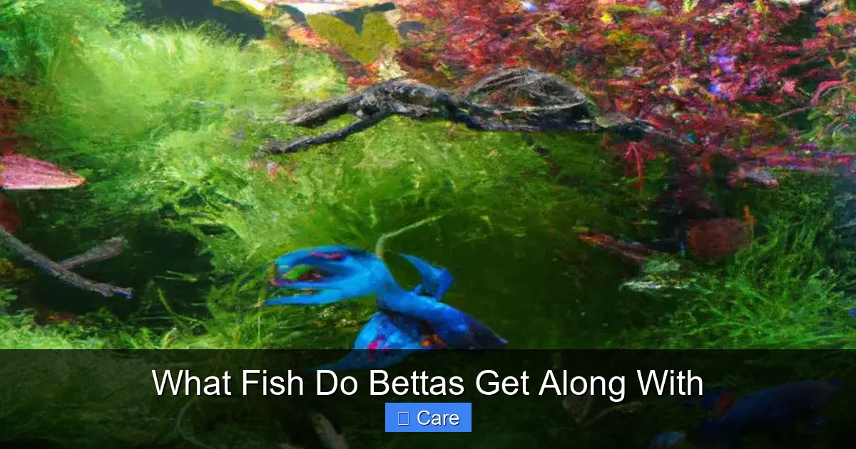 What Fish Do Bettas Get Along With