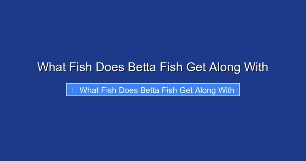 What Fish Does Betta Fish Get Along With