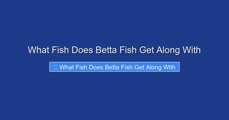 What Fish Does Betta Fish Get Along With