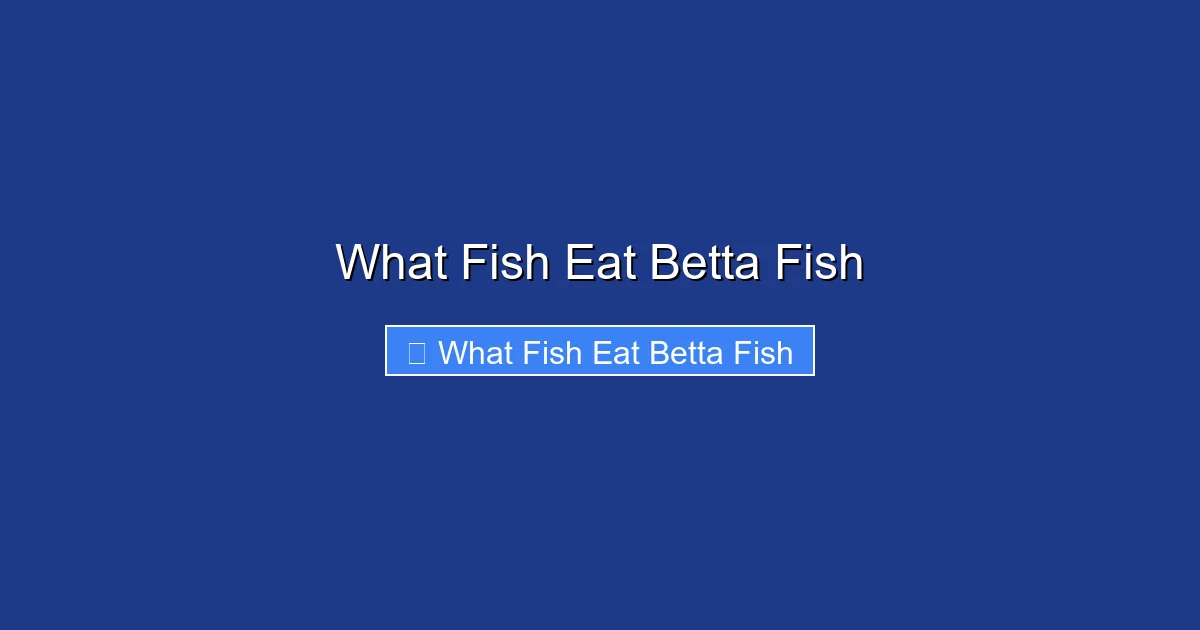 What Fish Eat Betta Fish