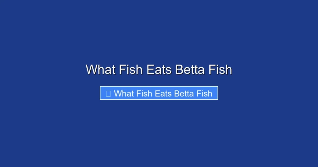 What Fish Eats Betta Fish