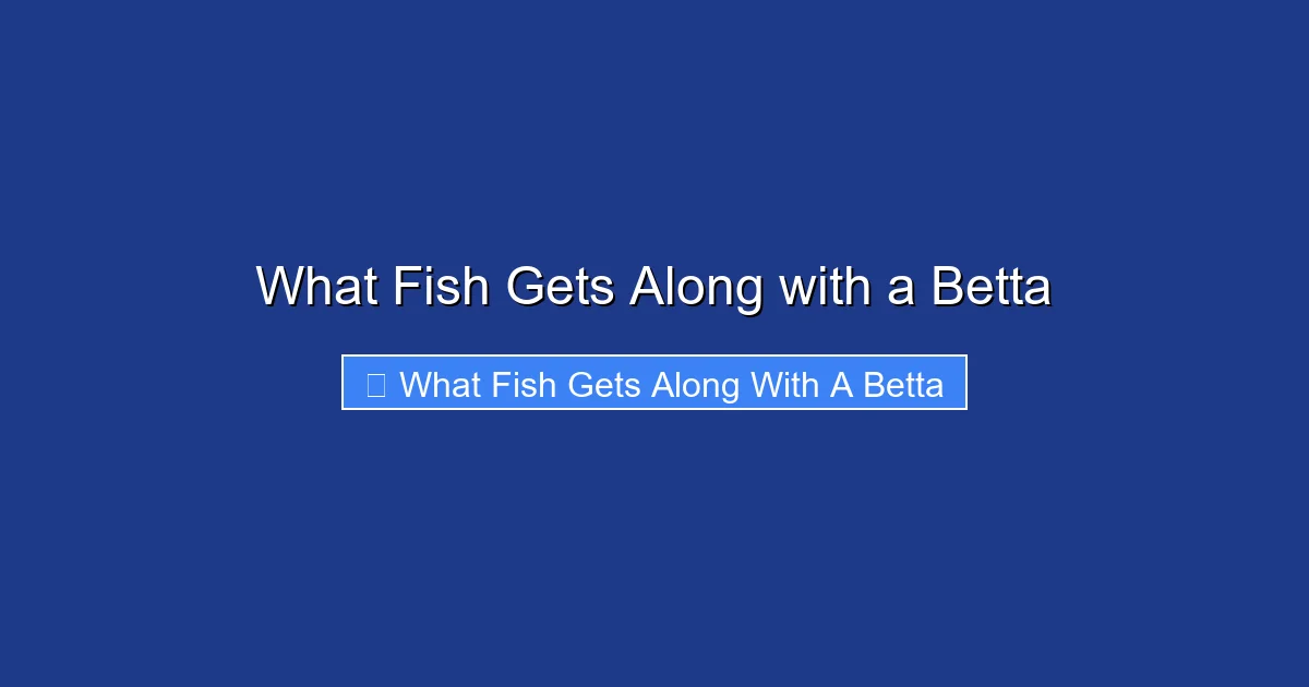 What Fish Gets Along with a Betta