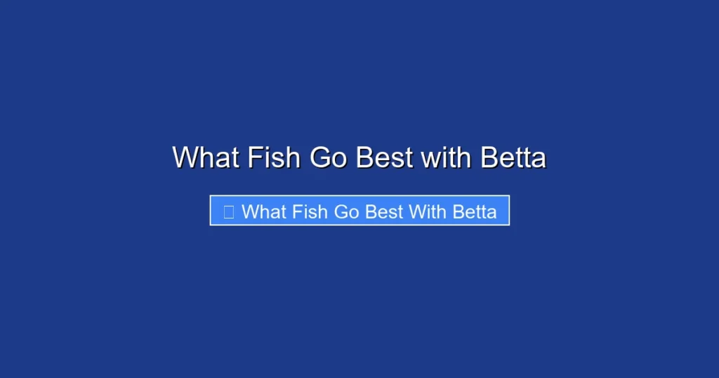 What Fish Go Best with Betta